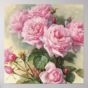 Roses and Bumblebees Paul de Longpre Fine Art Poster