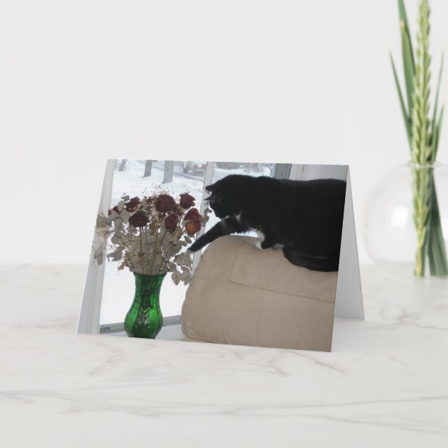 Roses and the Cat Holiday Card (Front)