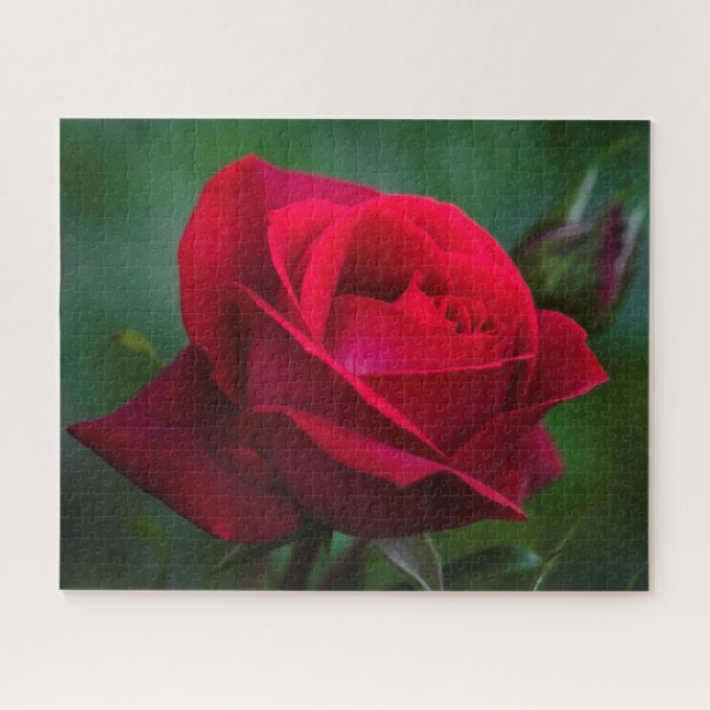 Roses Are Red 16"x20" difficult Jigsaw Puzzle (Horizontal)