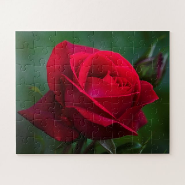 Roses Are Red 16"x20" easy Jigsaw Puzzle (Horizontal)