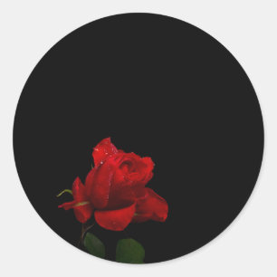 Roses Are Red Classic Round Sticker