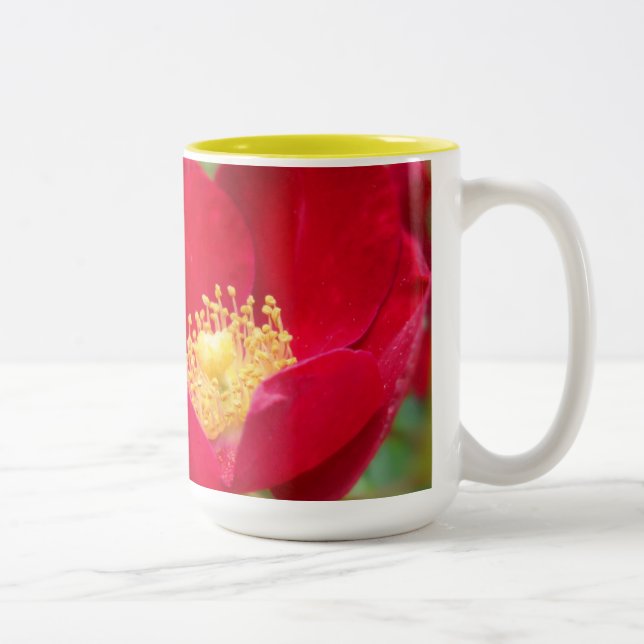 Roses Are Red Mug (Right)