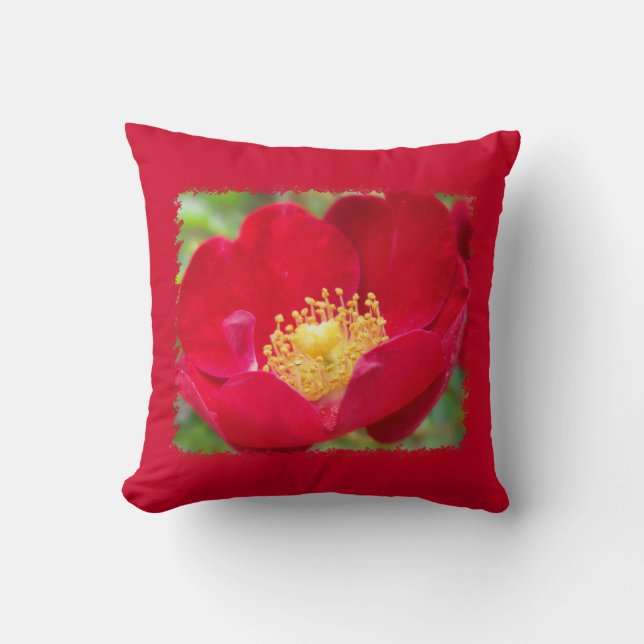 Roses Are Red Pillow (Front)