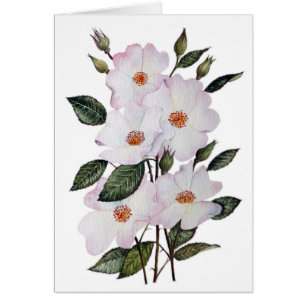 Roses 'Ballerina' Floral Art