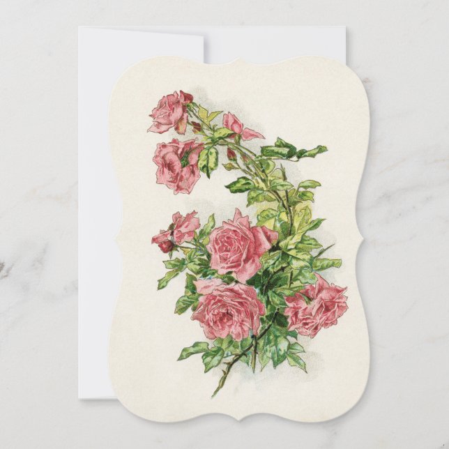 roses blossoms vines balloons vintage (Front)