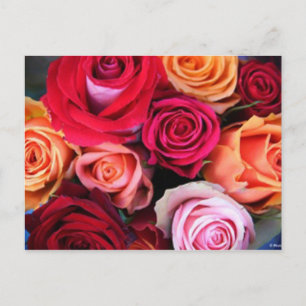 Roses Bouquet Postcard
