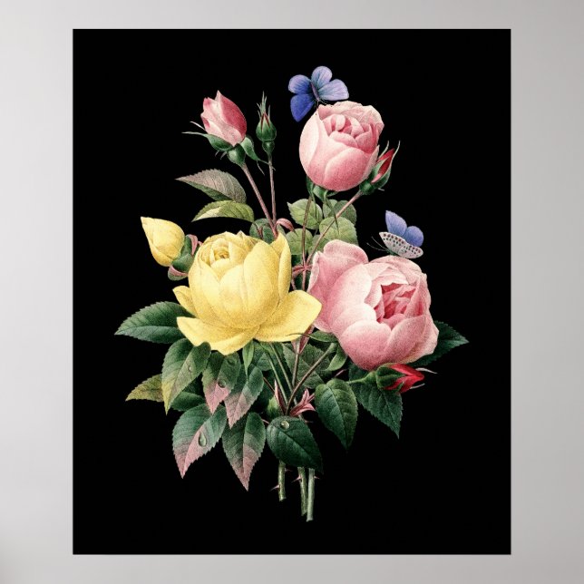Roses bouquet Redoute black dramatic background Poster (Front)