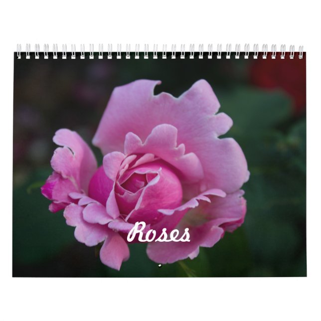 Roses Calendar (Cover)