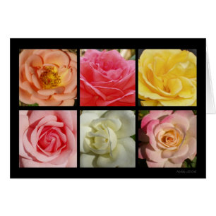 Roses Card