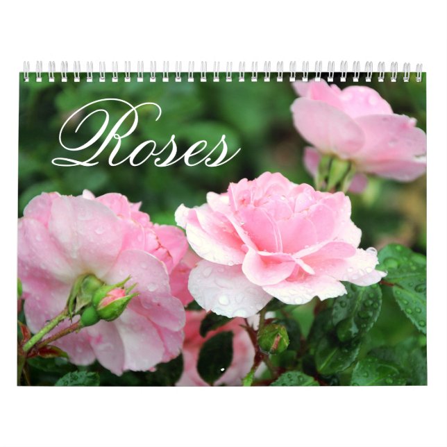 Roses Custom Calendar (Cover)