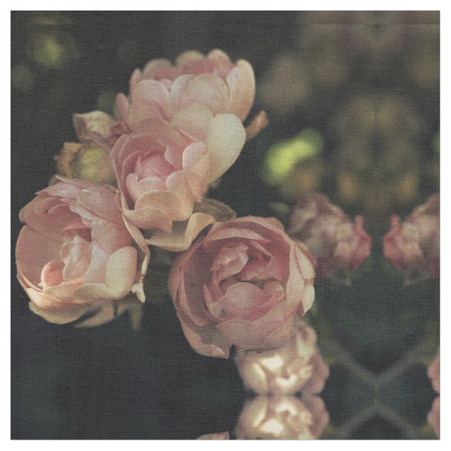 Roses Fabric (Close Up)