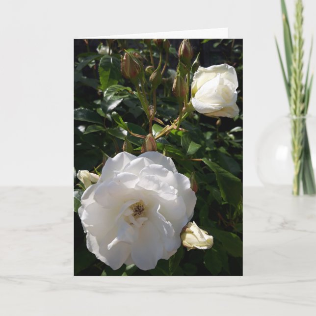 Roses flowers card (Front)