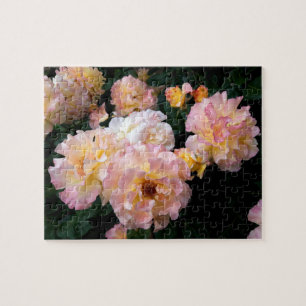 Roses Flowers , Pink Yellow Roses Jigsaw Puzzle