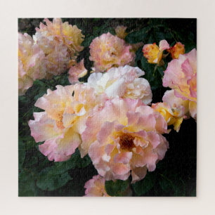 Roses Flowers , Pink Yellow Roses Jigsaw Puzzle