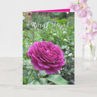 Roses Folded Greeting Card
