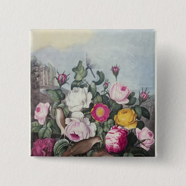 Roses, from 'The Temple of Flora' 15 Cm Square Badge (Front)