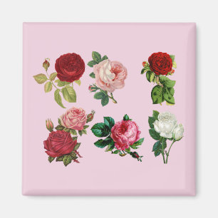 roses galore magnet