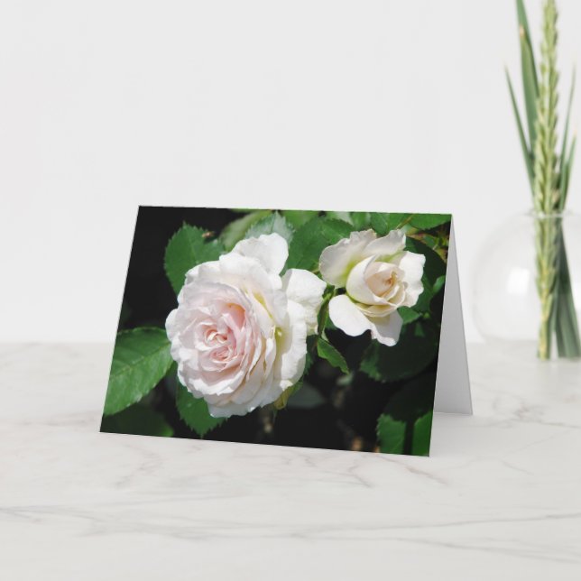 Roses Greeting Card (Front)