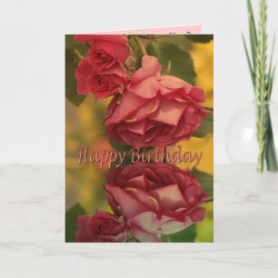 Roses happy birthday card