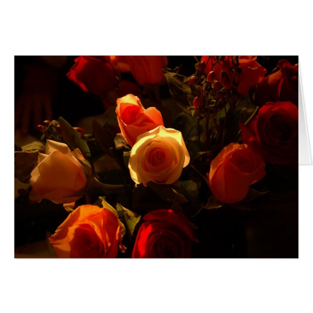 Roses I - Orange, Crimson and Gold Glory (Front Horizontal)
