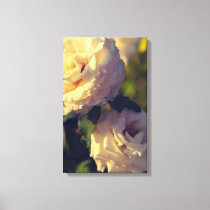 Roses in a garden canvas print