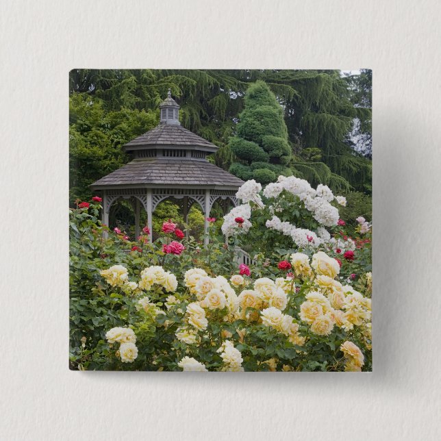 Roses in bloom and Gazebo Rose Garden at the 15 Cm Square Badge (Front)