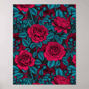 Roses in red and blue poster