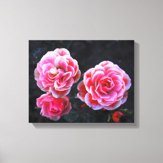 Roses in Winter Canvas Print