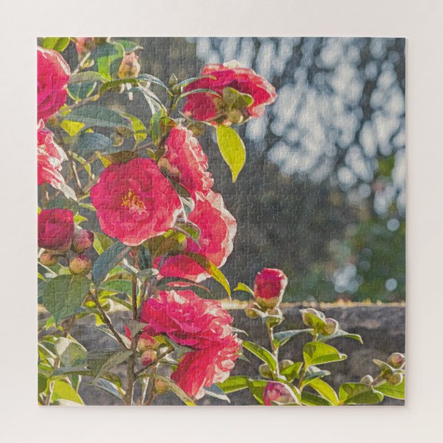 Roses  jigsaw puzzle (Vertical)