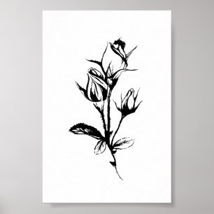 Roses Line Drawing Art   Ink Sketch of Rosebuds Poster