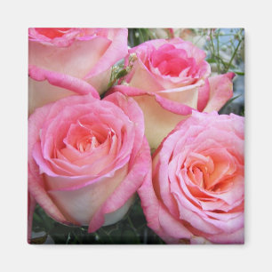 Roses Magnet