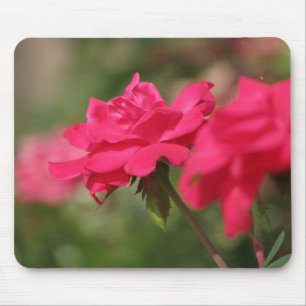 Roses Mouse Pad