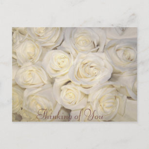 Roses of Love_Postcard Postcard