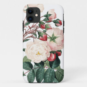 Roses of Redoute Les Roses vintage image iPhone 11 Case