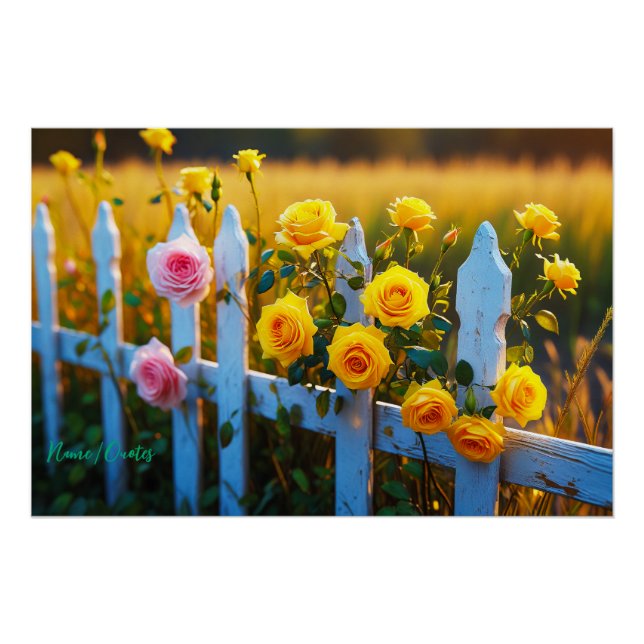 Roses on a White Picket Fence Poster (Front)