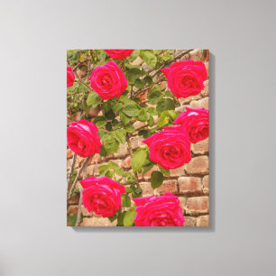 roses on Stretched Canvas Print