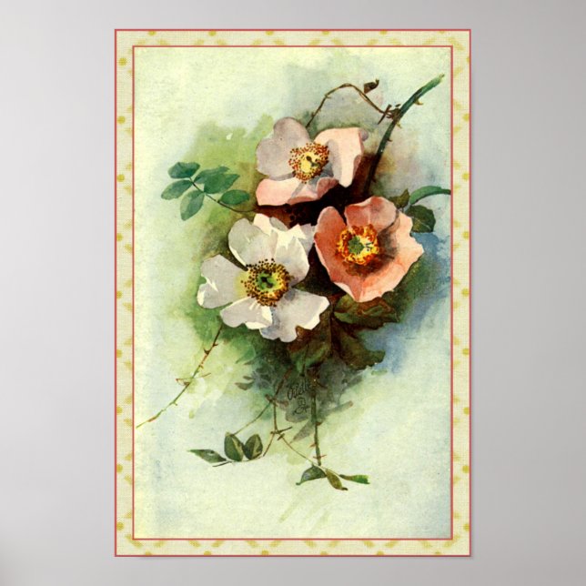 Roses on the Vine - Print (Front)