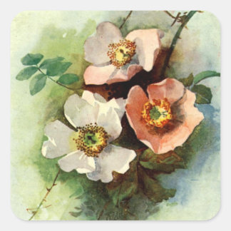 Roses on the Vine - Sticker