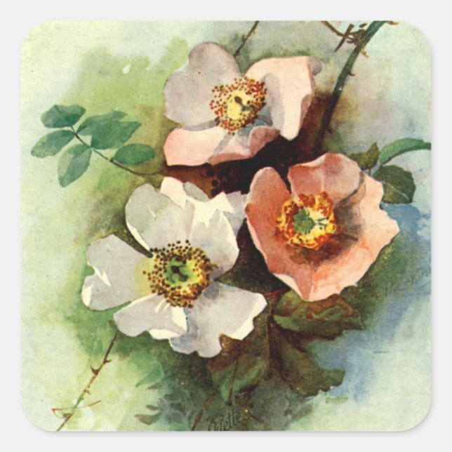 Roses on the Vine - Sticker (Front)