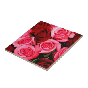 Roses, Pink and Red-Ceramic Tile