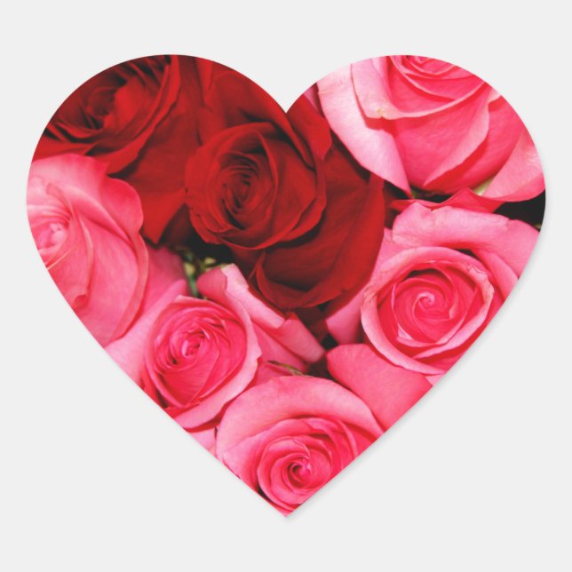Roses, Pink and Red Heart Sticker (Front)