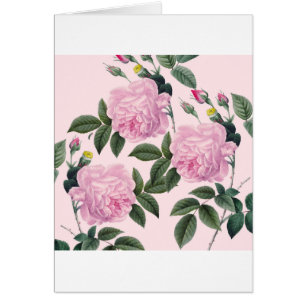Roses Pink Vintage Dream
