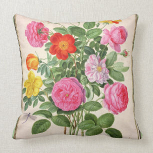 Roses, plate 4 from the Nassau Florilegium (w/c on Cushion