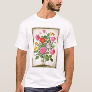 Roses, plate 4 from the Nassau Florilegium (w/c on T-Shirt
