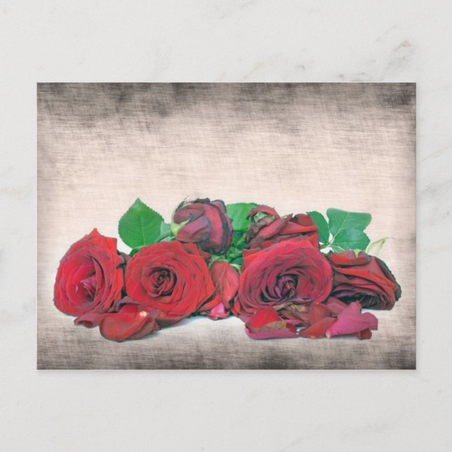 Roses Postcard (Front)