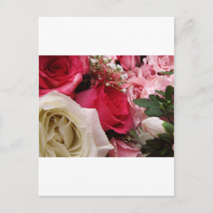 Roses Postcard