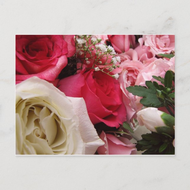 Roses Postcard (Front)