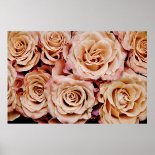 Roses Poster