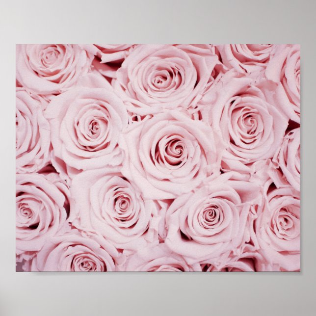 Roses print | flowers wall art (Front)