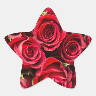Roses Reddy Beautiful Star Sticker